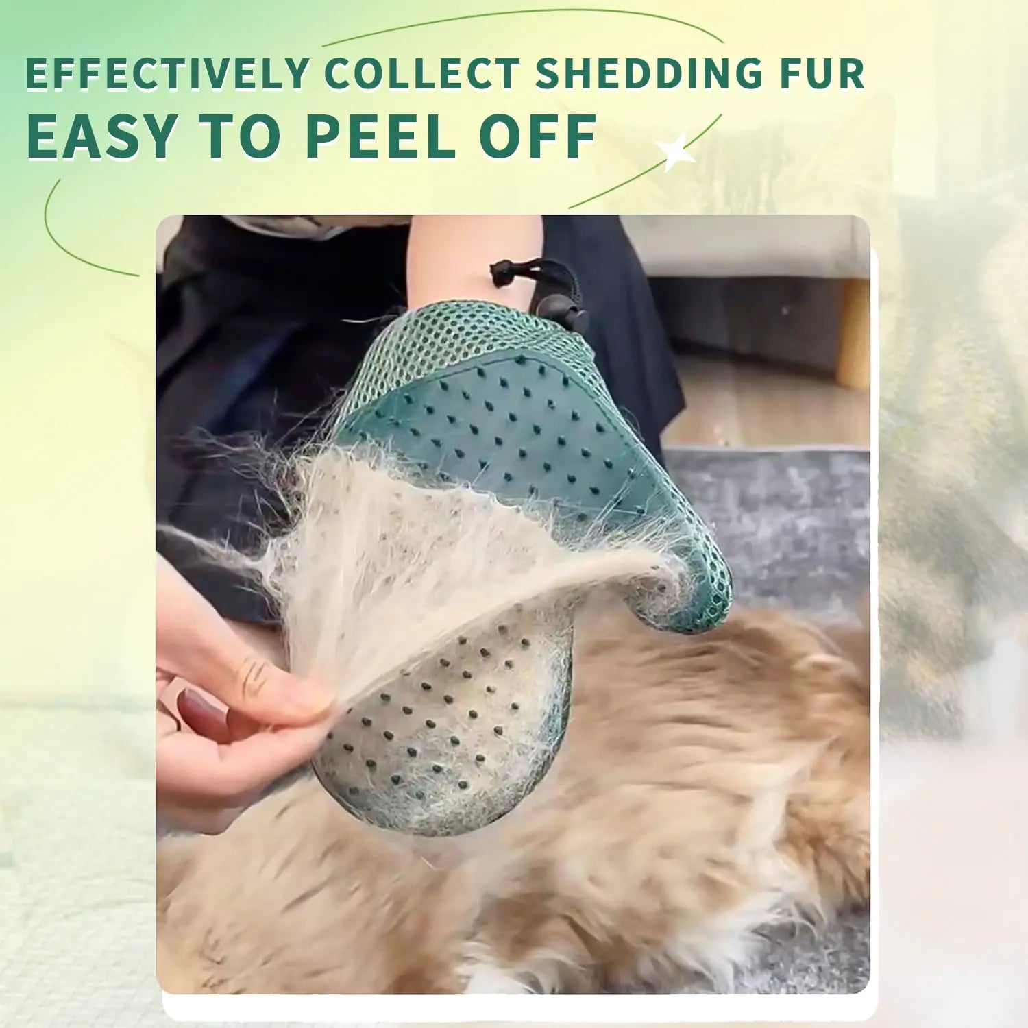 Mollypaws Pet Grooming Glove: the Ultimate Solution for Pet Hair Removal & Gentle Grooming