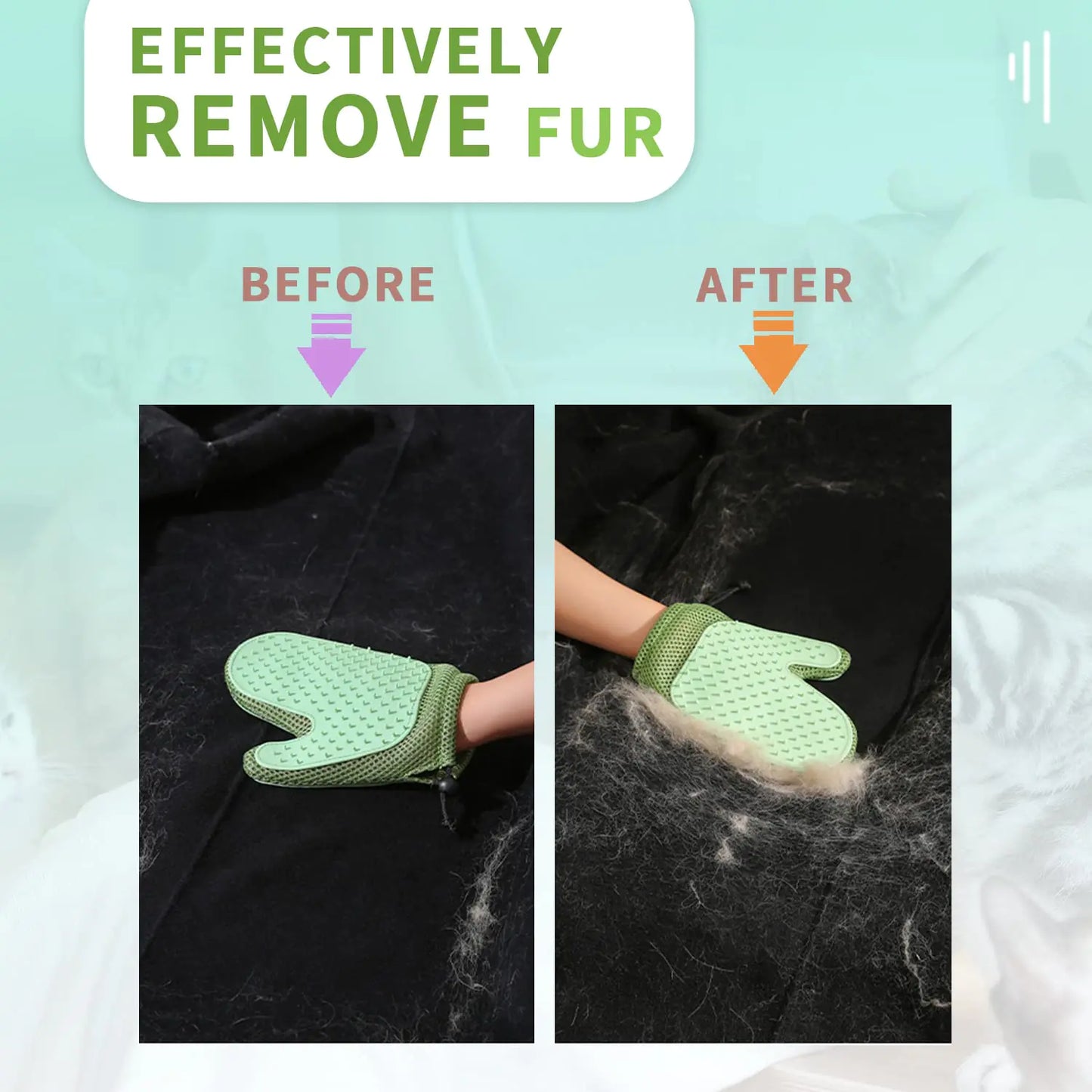 Mollypaws Pet Grooming Glove: the Ultimate Solution for Pet Hair Removal & Gentle Grooming